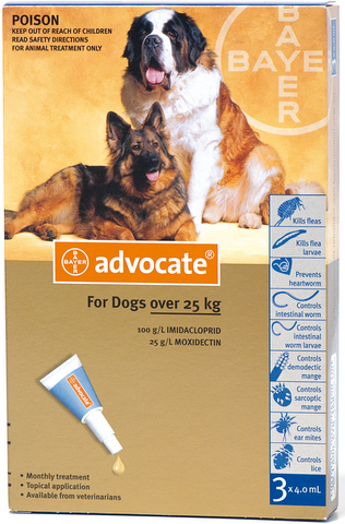 advocate dog treatment instructions